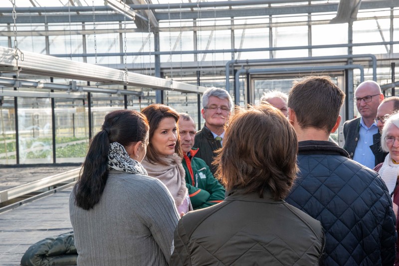 Ein Blick hinter die Kulissen eines regionalen Gartenbaubetriebs