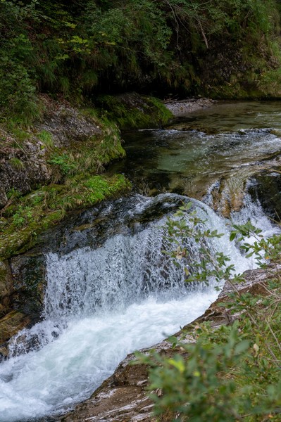 Der Steig durch die Wei&szlig;bachschlucht ist wieder offen.